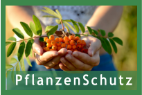 PflanzenSchutz