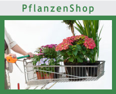 PflanzenShop