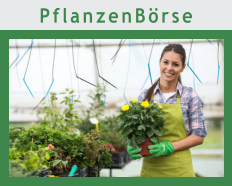 PflanzenBörse