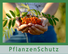 PflanzenSchutz